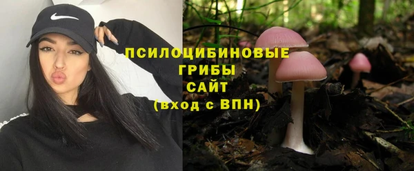хмурый Алексин