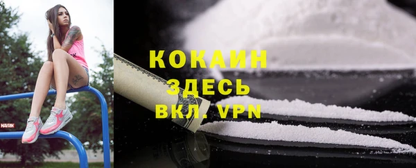 бошки Алзамай