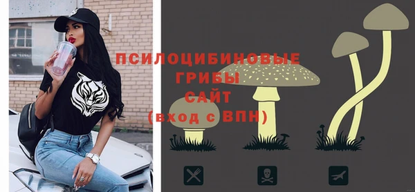 бошки Алзамай