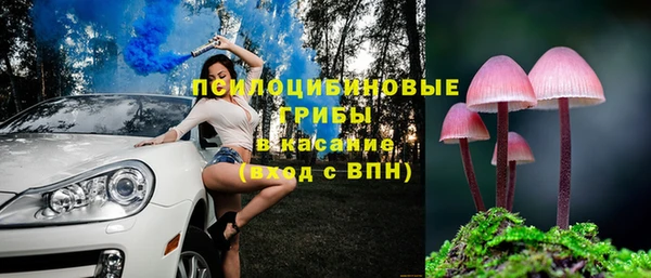 хмурый Алексин