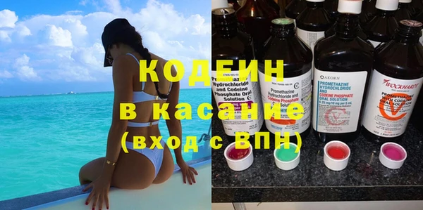 хмурый Алексин