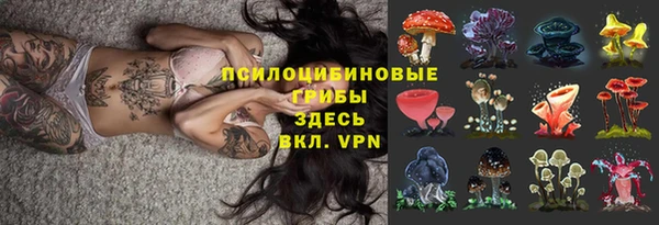 хмурый Алексин