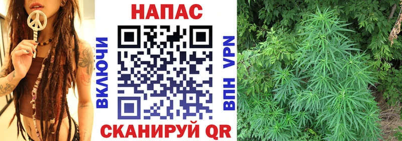 Бошки Шишки планчик  Чистополь 
